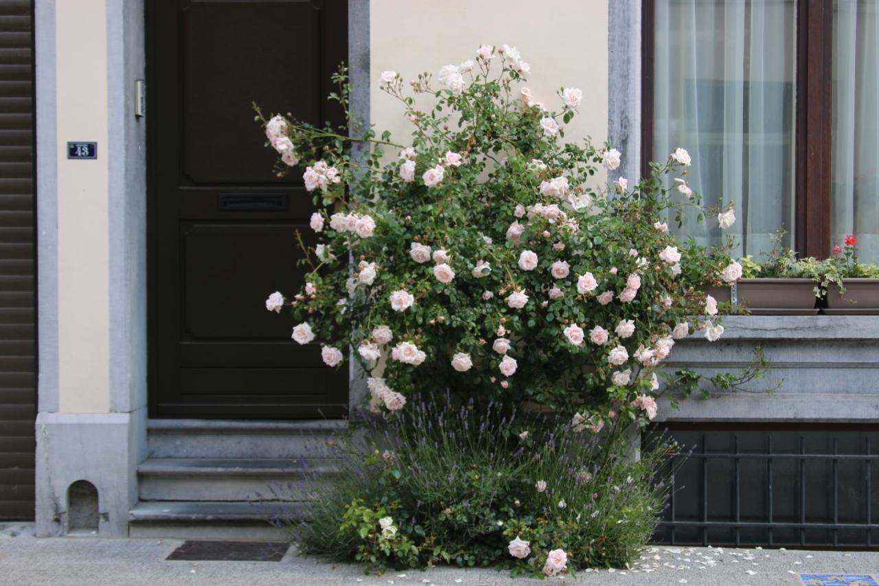 B&B Les Iris Brüssel Exterior foto